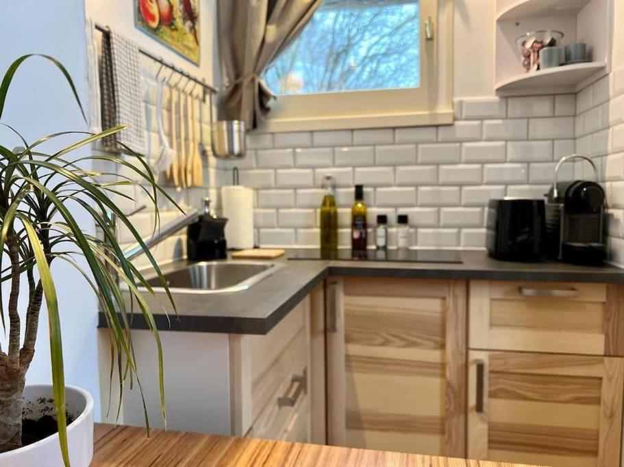 Studio Cosy Et Fonctionnel Entre Saule Et Lilas Villard-de-Lans Ngoại thất bức ảnh